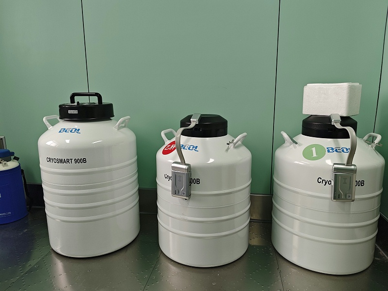 872cab0a6f014025f8a327caed63fff