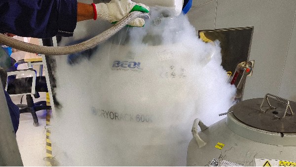 想要讓你的液氮罐既能監測液位高度又能監測溫度嗎？24.7.29