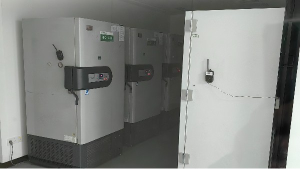 BEOL貝爾科技為您講述溫度監(jiān)控在醫(yī)院GCP應用中的作用24.8.5